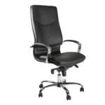 Poltrona Zeta Direzionale con Braccioli e Oscillante